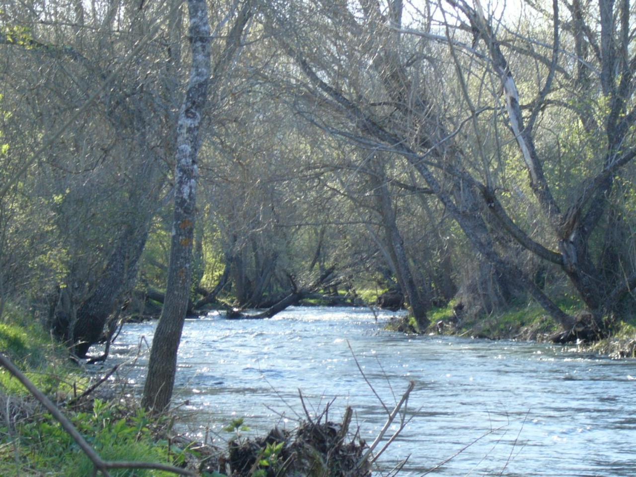 Camping De Cervera De Buitrago المظهر الخارجي الصورة