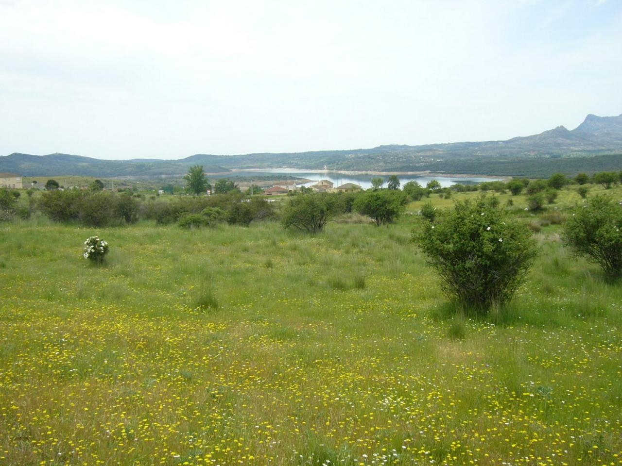 Camping De Cervera De Buitrago المظهر الخارجي الصورة