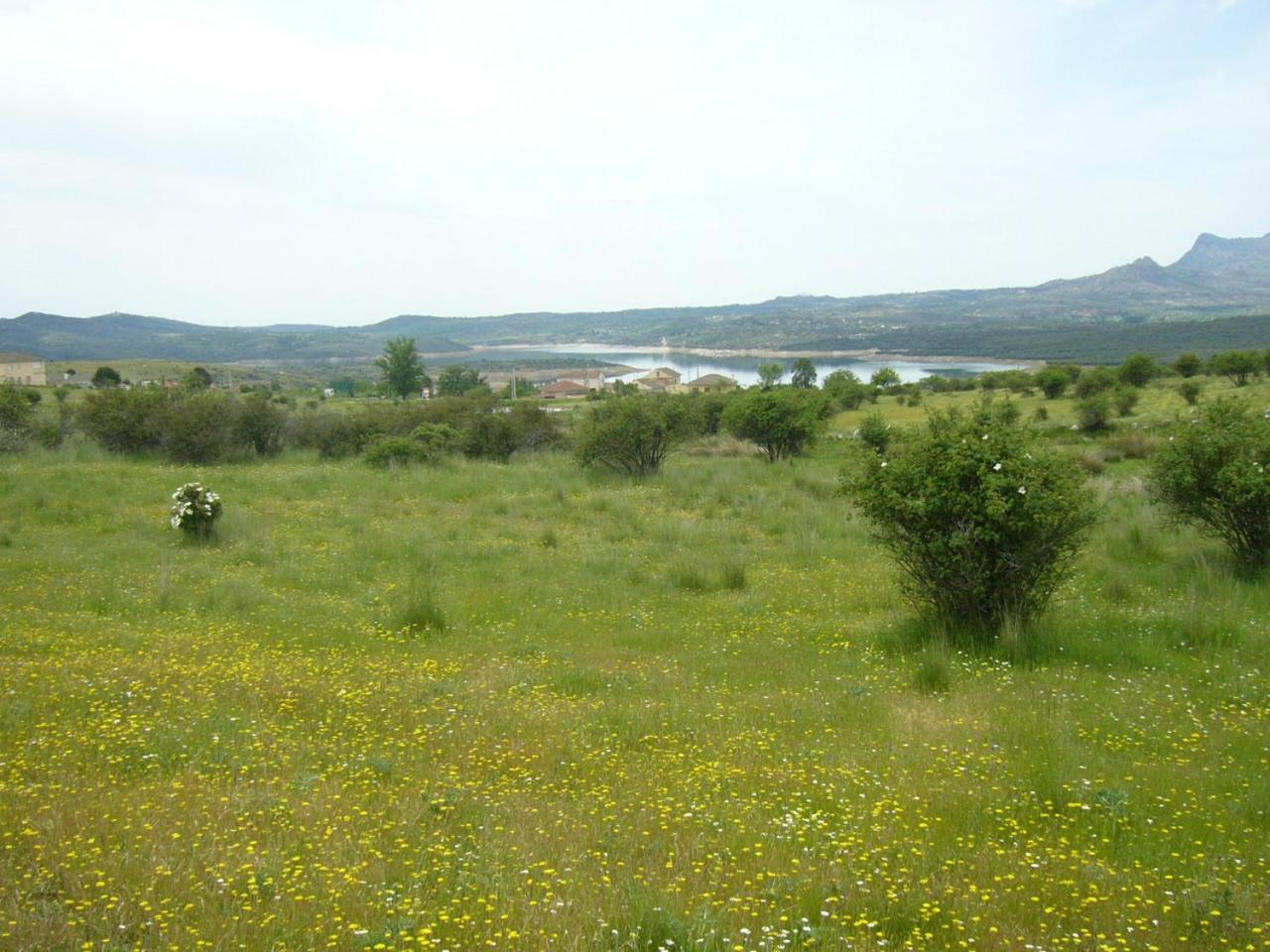 فندق Camping De Cervera De Buitrago المظهر الخارجي الصورة